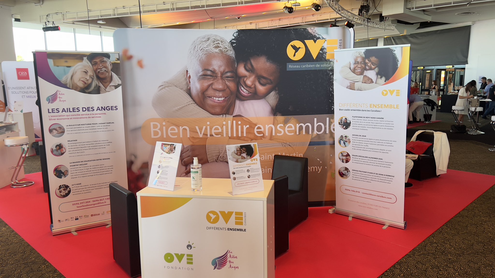 INSTITUT TOURNESOL (IME) - SAINT-BARTHÉLEMY